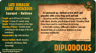 Diplodocus (Back)