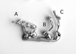 Skeleton arms: guns sprue