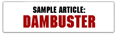 Sample Article Dambusters