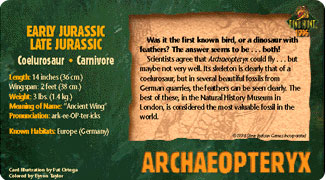 Archaeopteryx (Back)