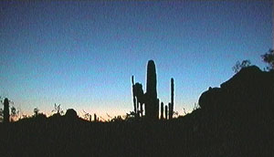 [ img: Desert Sunset ]