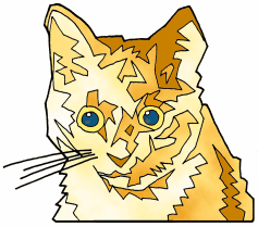cat.jpg