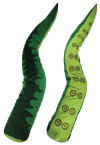Green plush tentacle (9441)